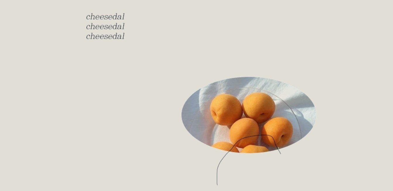 CheeseDal 온라인몰 화면