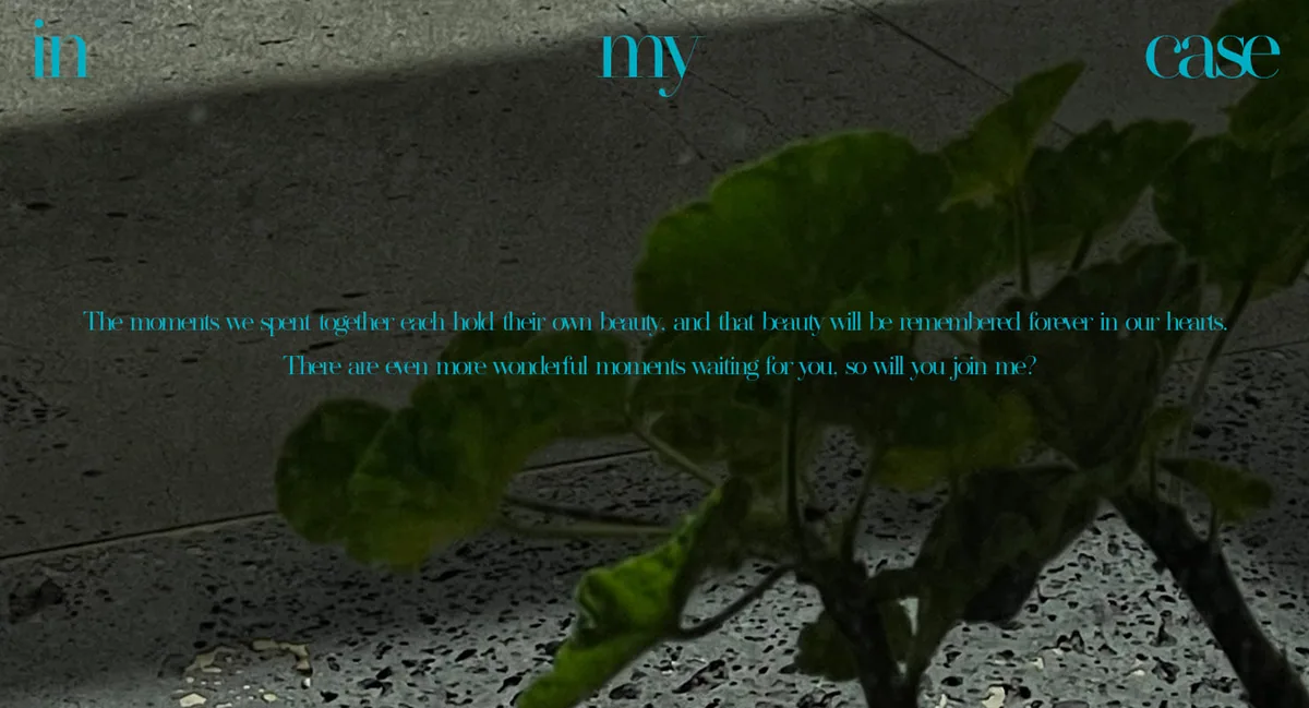 In My Case PC 배너 3