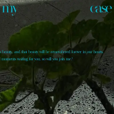 In My Case PC 배너 3